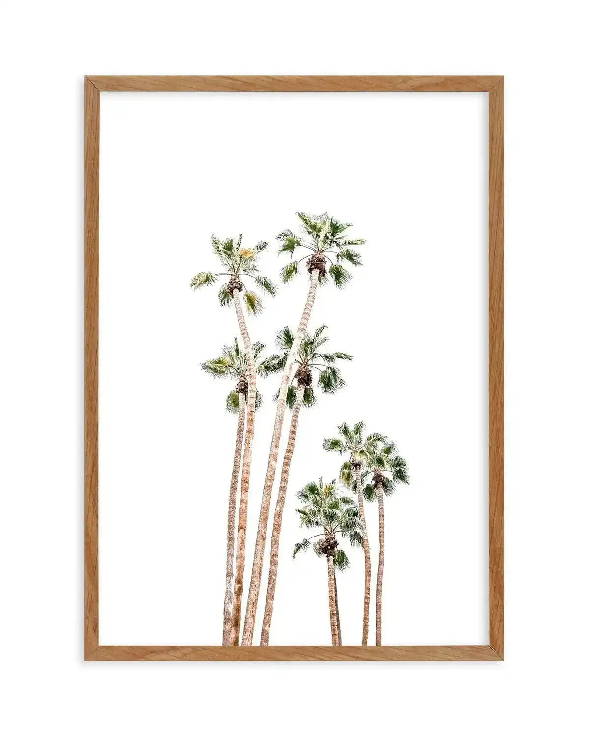 Palmy Springs | PT Art Print-PRINT-Olive et Oriel-Olive et Oriel-50x70 cm | 19.6" x 27.5"-Walnut-With White Border-Buy-Australian-Art-Prints-Online-with-Olive-et-Oriel-Your-Artwork-Specialists-Austrailia-Decorate-With-Coastal-Photo-Wall-Art-Prints-From-Our-Beach-House-Artwork-Collection-Fine-Poster-and-Framed-Artwork