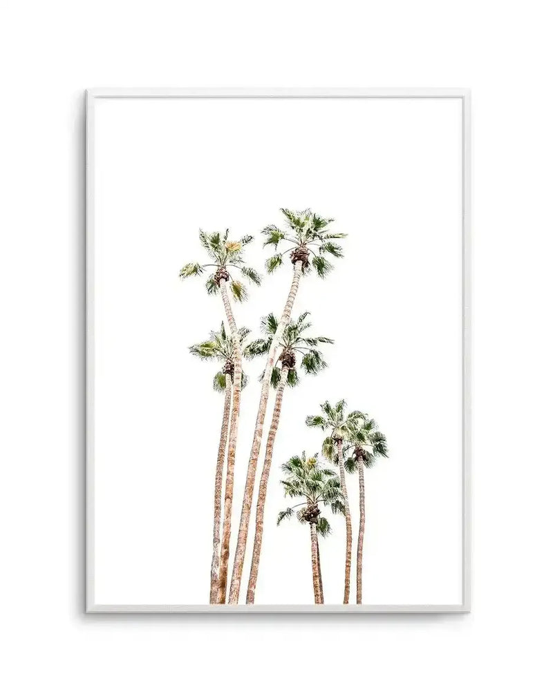 Framed art print featuring five tall palm trees with slender tan and brown trunks against a white background. The palms have green fronds at their tops in varying heights, creating a natural, organic composition. The photograph has a minimalist aesthetic with soft, naturalistic coloring. The print is displayed in a light gray frame with a white border.