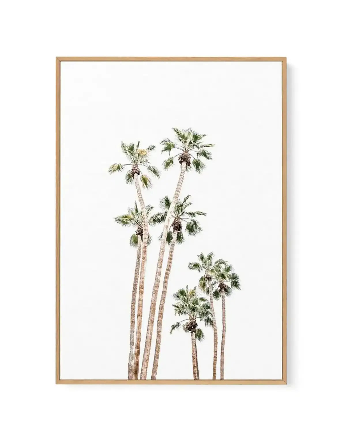 Palmy Springs | PT | Framed Canvas-CANVAS-You can shop wall art online with Olive et Oriel for everything from abstract art to fun kids wall art. Our beautiful modern art prints and canvas art are available from large canvas prints to wall art paintings and our proudly Australian artwork collection offers only the highest quality framed large wall art and canvas art Australia - You can buy fashion photography prints or Hampton print posters and paintings on canvas from Olive et Oriel and have th