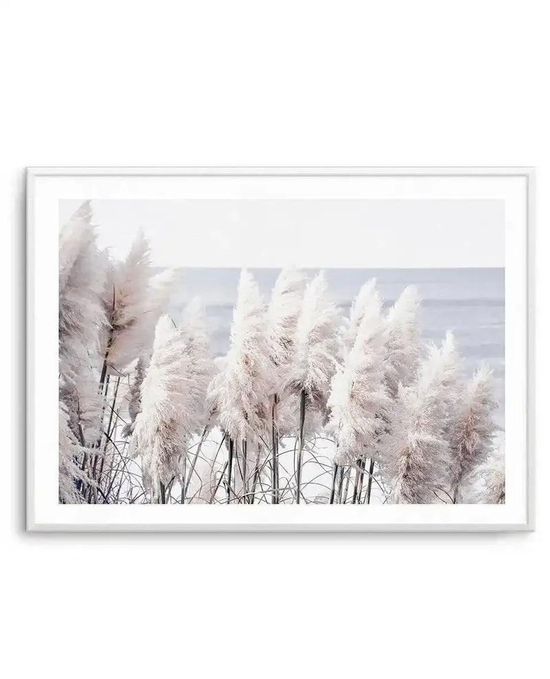 Framed photograph of a coastal scene featuring tall, feathery pampas grass in shades of white and pale cream against a soft grey-blue ocean and light grey sky, with a white frame and white border.