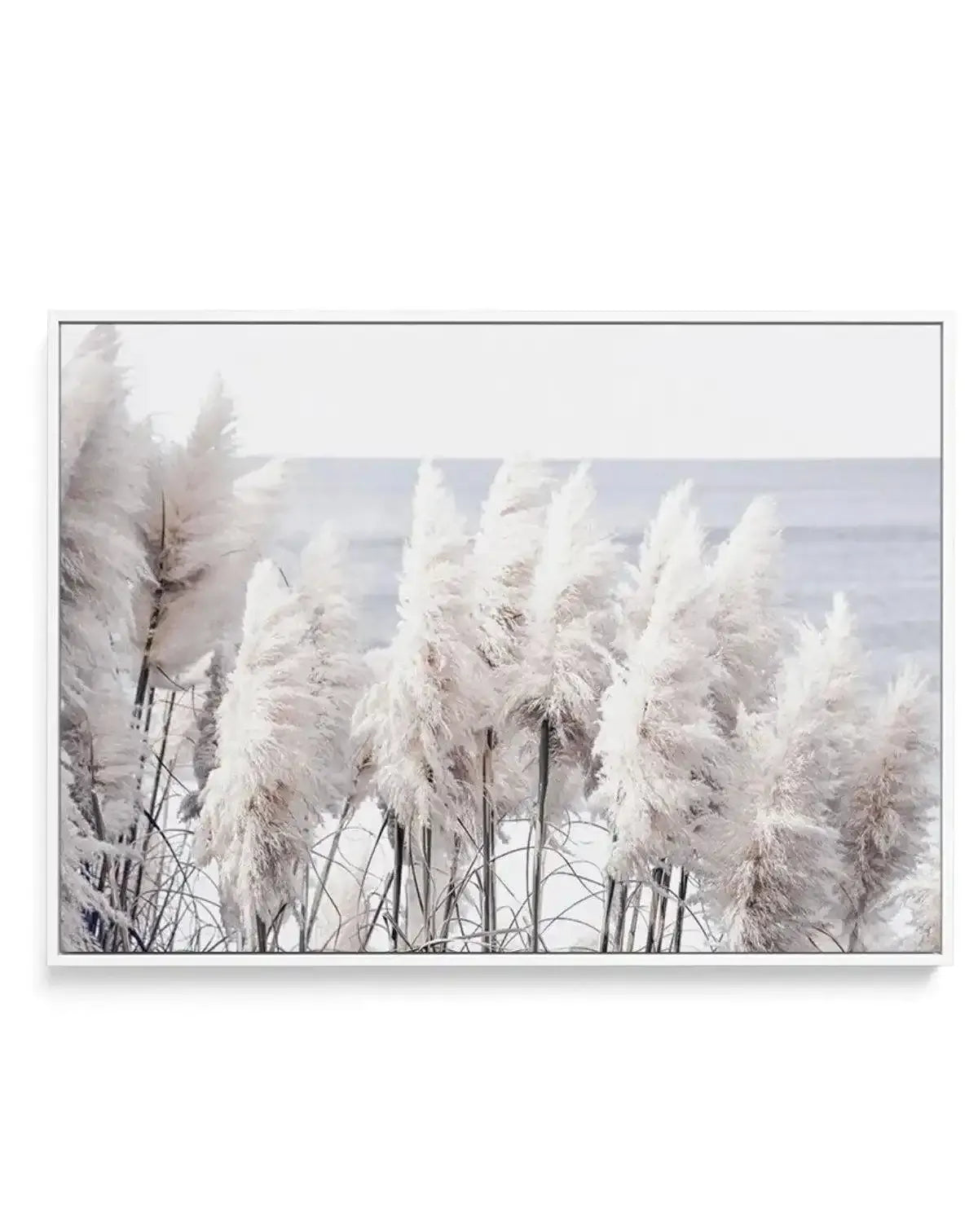 Pampas By The Sea | Framed Canvas-CANVAS-You can shop wall art online with Olive et Oriel for everything from abstract art to fun kids wall art. Our beautiful modern art prints and canvas art are available from large canvas prints to wall art paintings and our proudly Australian artwork collection offers only the highest quality framed large wall art and canvas art Australia - You can buy fashion photography prints or Hampton print posters and paintings on canvas from Olive et Oriel and have the