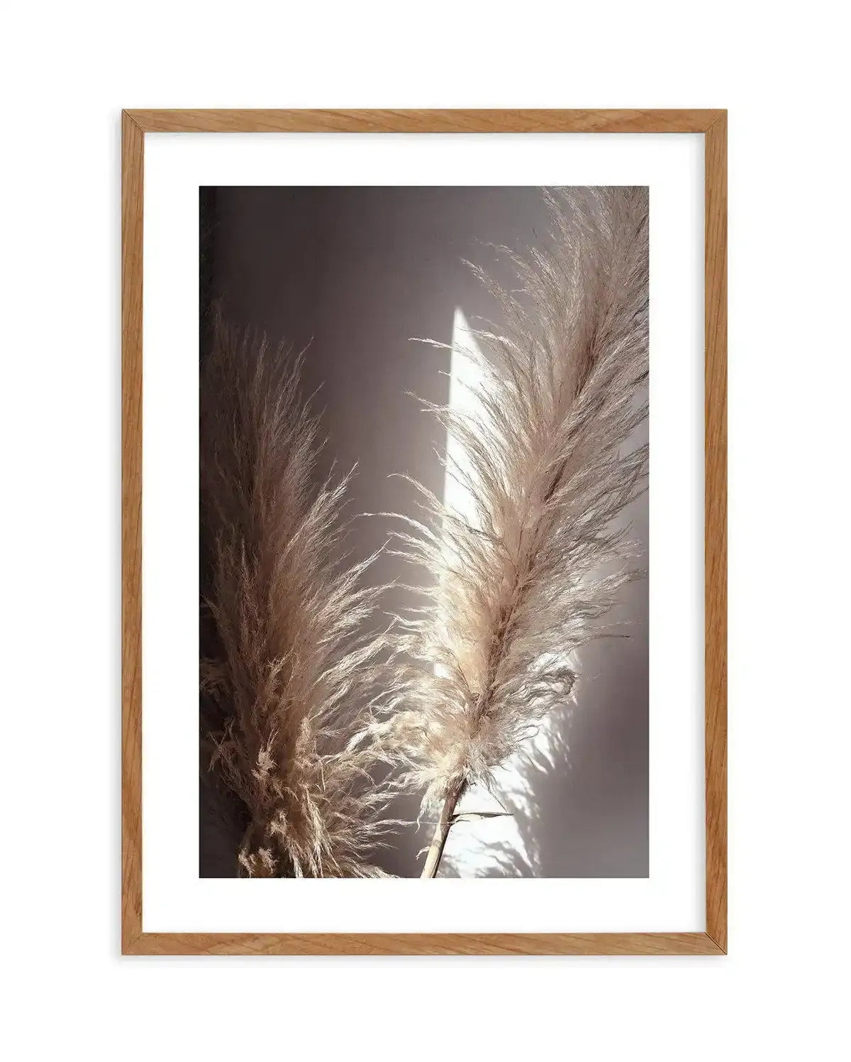 Pampas en Noir Art Print-PRINT-Olive et Oriel-Olive et Oriel-50x70 cm | 19.6" x 27.5"-Walnut-With White Border-Buy-Australian-Art-Prints-Online-with-Olive-et-Oriel-Your-Artwork-Specialists-Austrailia-Decorate-With-Coastal-Photo-Wall-Art-Prints-From-Our-Beach-House-Artwork-Collection-Fine-Poster-and-Framed-Artwork