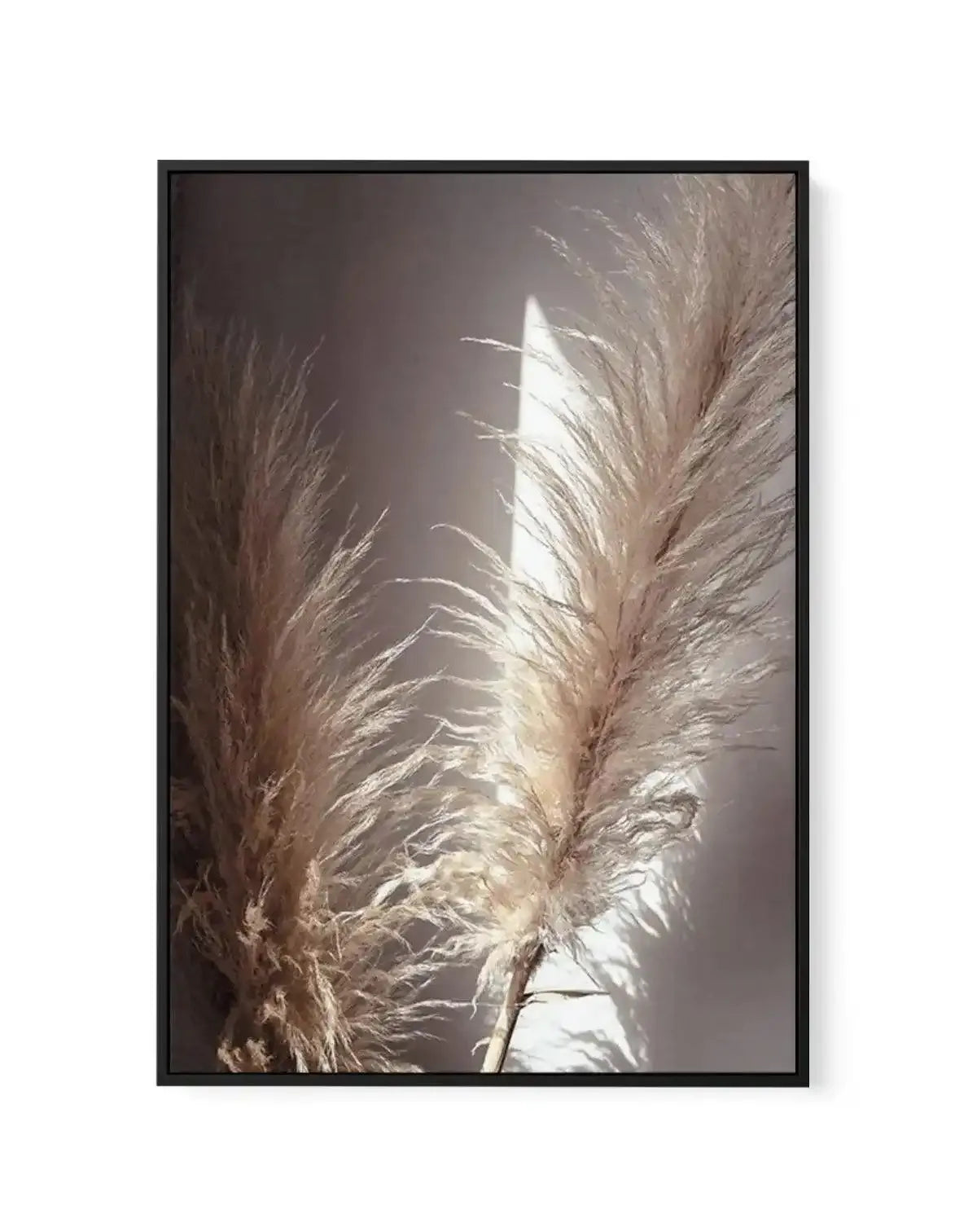 Pampas en Noir | Framed Canvas-CANVAS-You can shop wall art online with Olive et Oriel for everything from abstract art to fun kids wall art. Our beautiful modern art prints and canvas art are available from large canvas prints to wall art paintings and our proudly Australian artwork collection offers only the highest quality framed large wall art and canvas art Australia - You can buy fashion photography prints or Hampton print posters and paintings on canvas from Olive et Oriel and have them d