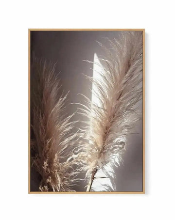 Pampas en Noir | Framed Canvas Art Print from Olive et Oriel where you can shop wallpaper and artworks online