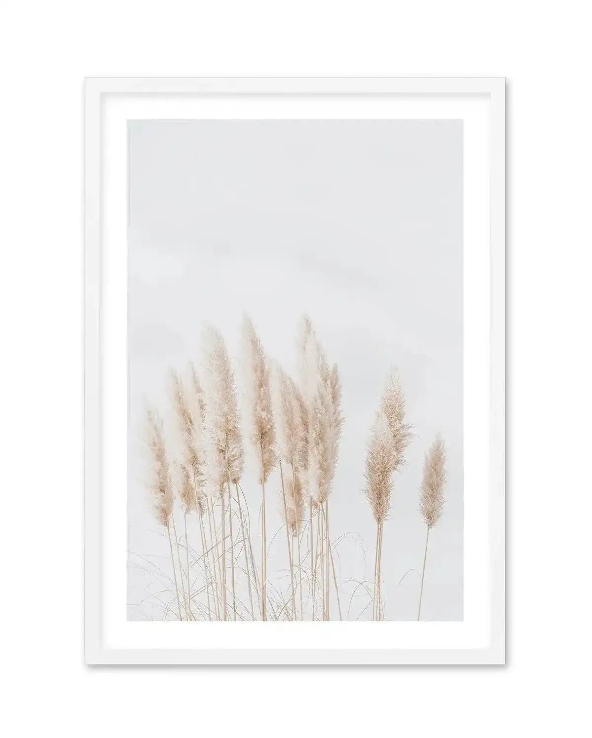 Pampas La Lumiere Art Print-PRINT-Olive et Oriel-Olive et Oriel-A5 | 5.8" x 8.3" | 14.8 x 21cm-White-With White Border-Buy-Australian-Art-Prints-Online-with-Olive-et-Oriel-Your-Artwork-Specialists-Austrailia-Decorate-With-Coastal-Photo-Wall-Art-Prints-From-Our-Beach-House-Artwork-Collection-Fine-Poster-and-Framed-Artwork