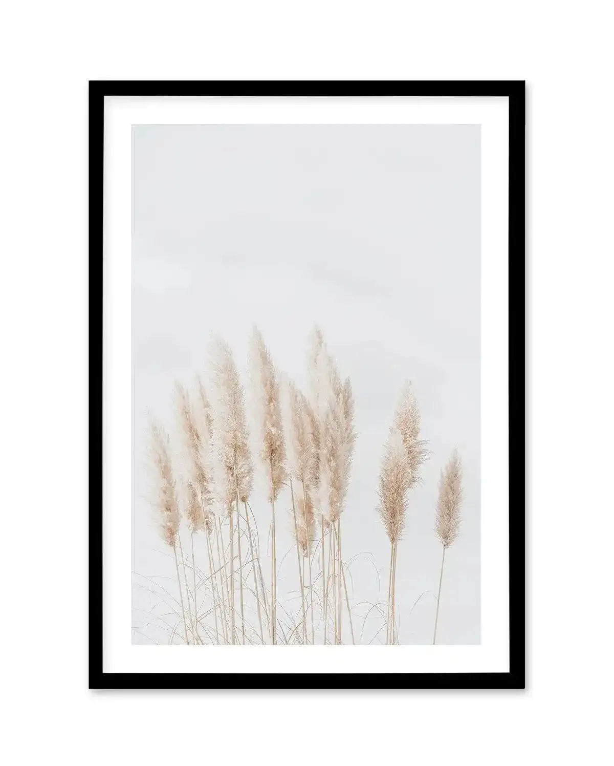 Pampas La Lumiere Art Print-PRINT-Olive et Oriel-Olive et Oriel-A5 | 5.8" x 8.3" | 14.8 x 21cm-Black-With White Border-Buy-Australian-Art-Prints-Online-with-Olive-et-Oriel-Your-Artwork-Specialists-Austrailia-Decorate-With-Coastal-Photo-Wall-Art-Prints-From-Our-Beach-House-Artwork-Collection-Fine-Poster-and-Framed-Artwork