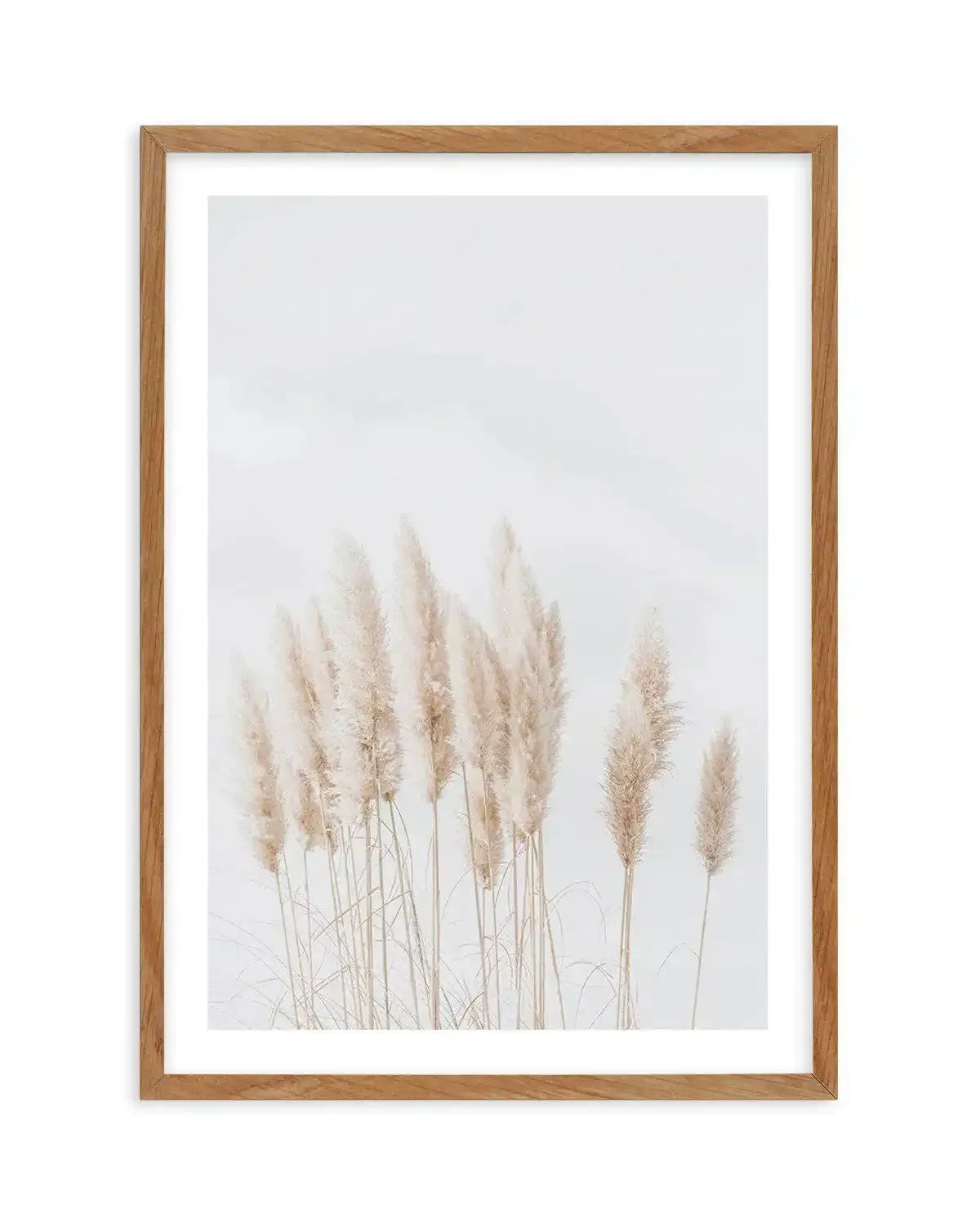Pampas La Lumiere Art Print-PRINT-Olive et Oriel-Olive et Oriel-Buy-Australian-Art-Prints-Online-with-Olive-et-Oriel-Your-Artwork-Specialists-Austrailia-Decorate-With-Coastal-Photo-Wall-Art-Prints-From-Our-Beach-House-Artwork-Collection-Fine-Poster-and-Framed-Artwork