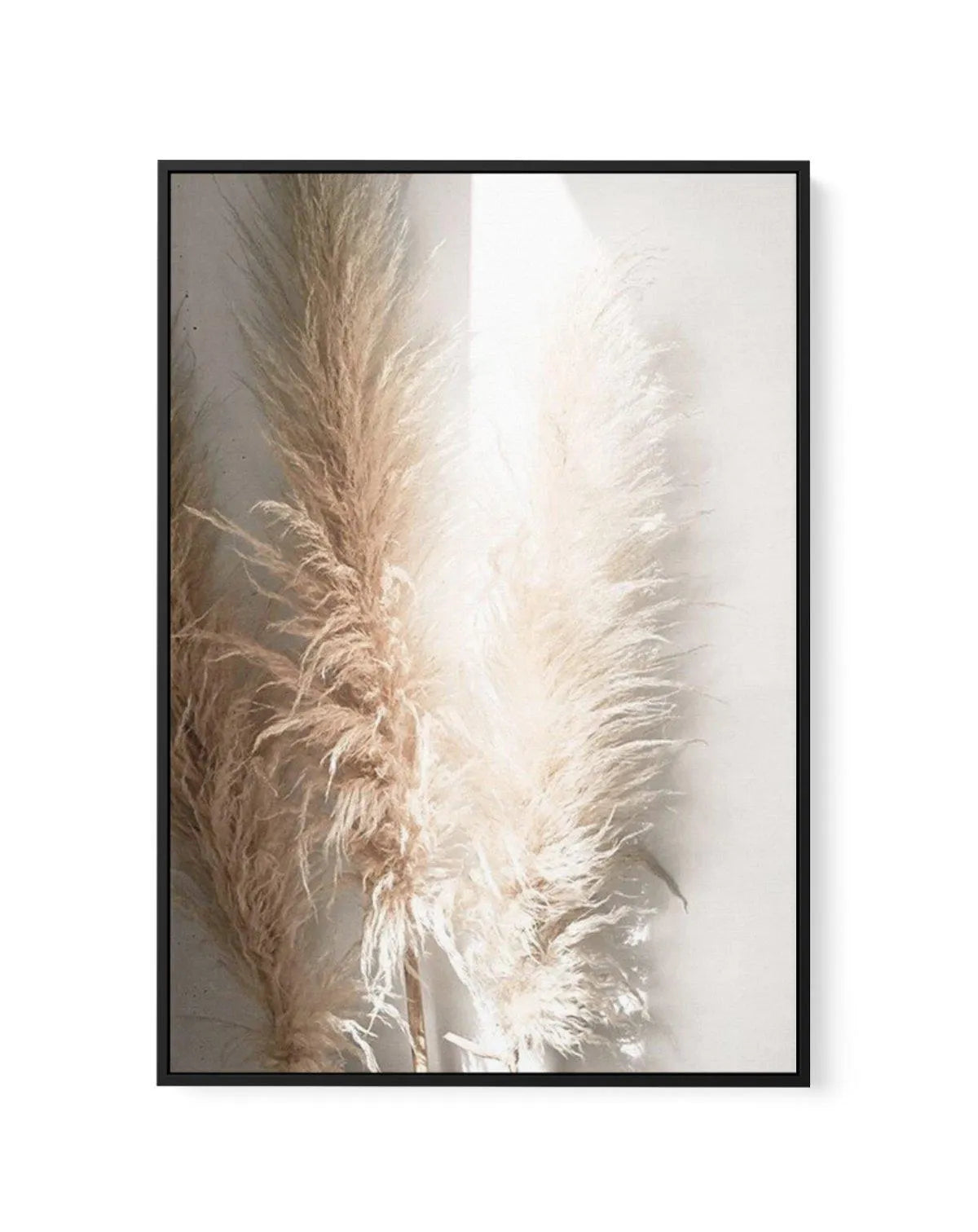 Pampas Ombres I | Framed Canvas-CANVAS-You can shop wall art online with Olive et Oriel for everything from abstract art to fun kids wall art. Our beautiful modern art prints and canvas art are available from large canvas prints to wall art paintings and our proudly Australian artwork collection offers only the highest quality framed large wall art and canvas art Australia - You can buy fashion photography prints or Hampton print posters and paintings on canvas from Olive et Oriel and have them 