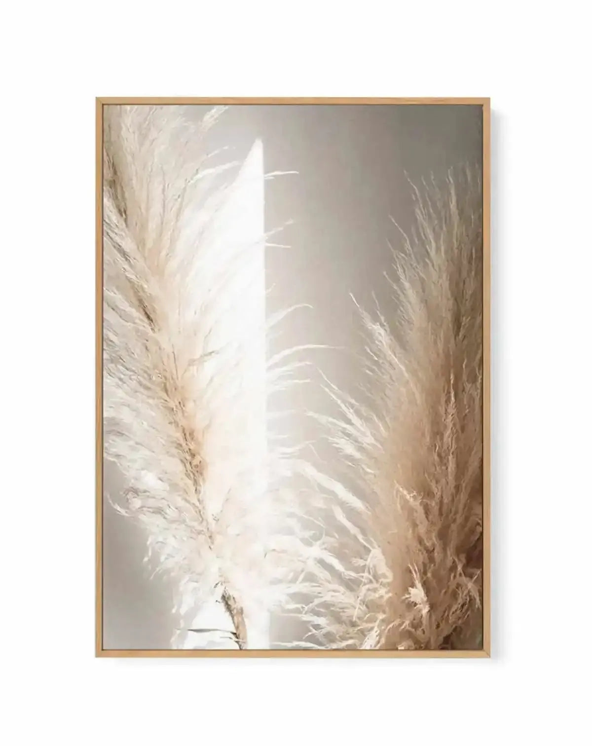 Pampas Ombres II | Framed Canvas Art Print from Olive et Oriel where you can shop wallpaper and artworks online