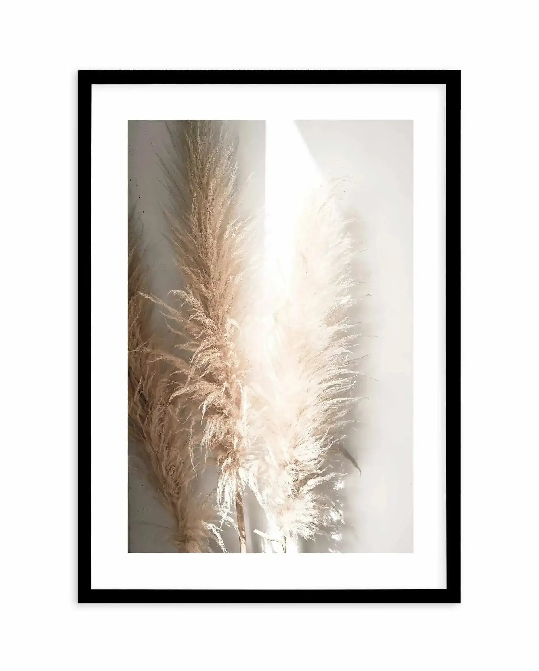 Pampas Ombres I Art Print-PRINT-Olive et Oriel-Olive et Oriel-A4 | 8.3" x 11.7" | 21 x 29.7cm-Black-With White Border-Buy-Australian-Art-Prints-Online-with-Olive-et-Oriel-Your-Artwork-Specialists-Austrailia-Decorate-With-Coastal-Photo-Wall-Art-Prints-From-Our-Beach-House-Artwork-Collection-Fine-Poster-and-Framed-Artwork