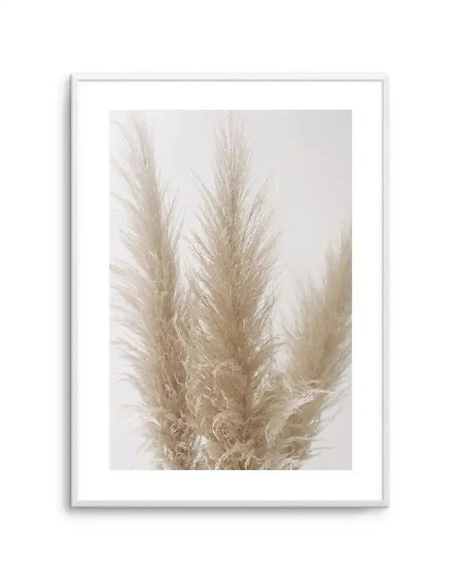 Pampas on Grey II Art Print-PRINT-Olive et Oriel-Olive et Oriel-A4 | 8.3" x 11.7" | 21 x 29.7cm-Unframed Art Print-With White Border-Buy-Australian-Art-Prints-Online-with-Olive-et-Oriel-Your-Artwork-Specialists-Austrailia-Decorate-With-Coastal-Photo-Wall-Art-Prints-From-Our-Beach-House-Artwork-Collection-Fine-Poster-and-Framed-Artwork