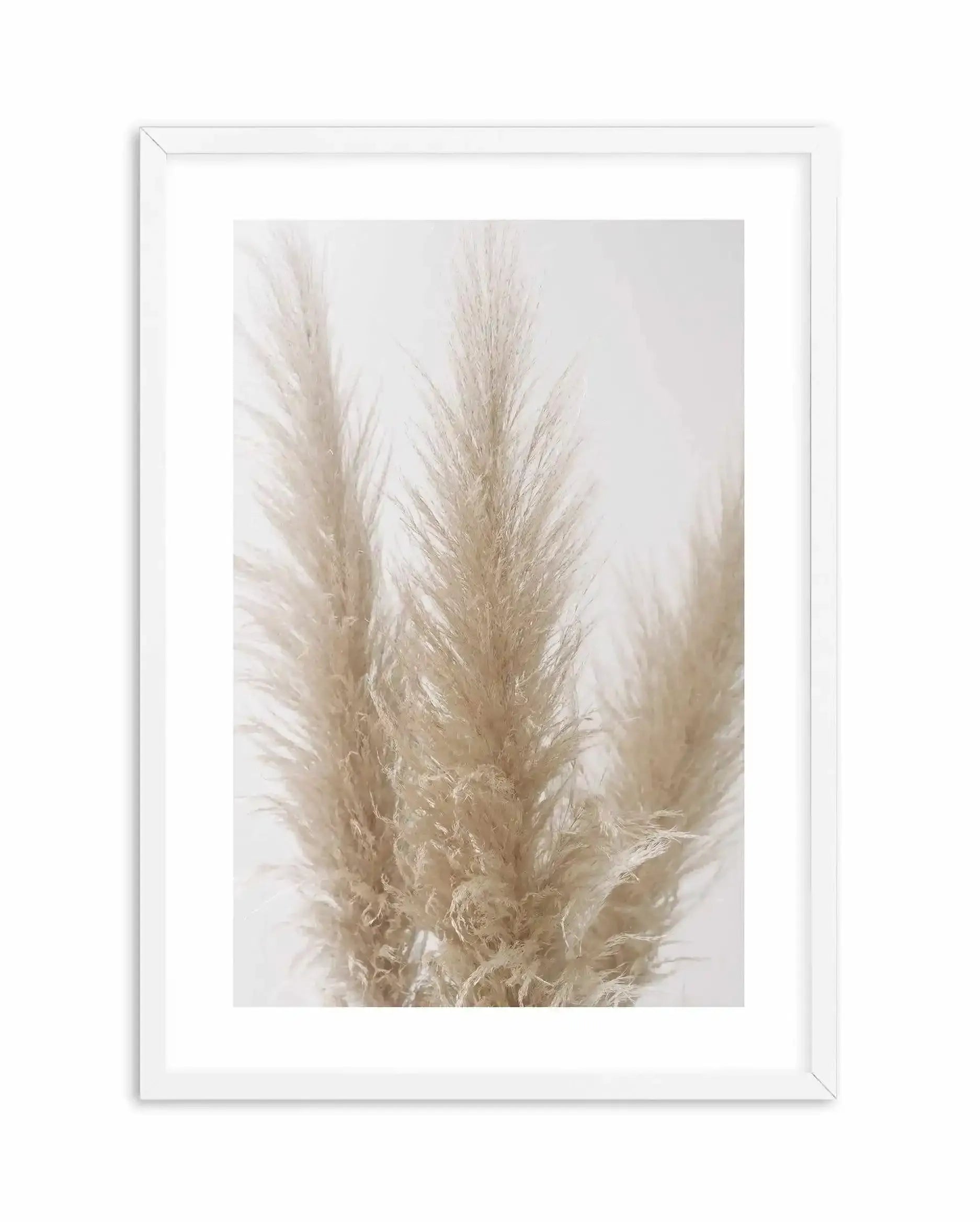 Pampas on Grey II Art Print-PRINT-Olive et Oriel-Olive et Oriel-A4 | 8.3" x 11.7" | 21 x 29.7cm-White-With White Border-Buy-Australian-Art-Prints-Online-with-Olive-et-Oriel-Your-Artwork-Specialists-Austrailia-Decorate-With-Coastal-Photo-Wall-Art-Prints-From-Our-Beach-House-Artwork-Collection-Fine-Poster-and-Framed-Artwork