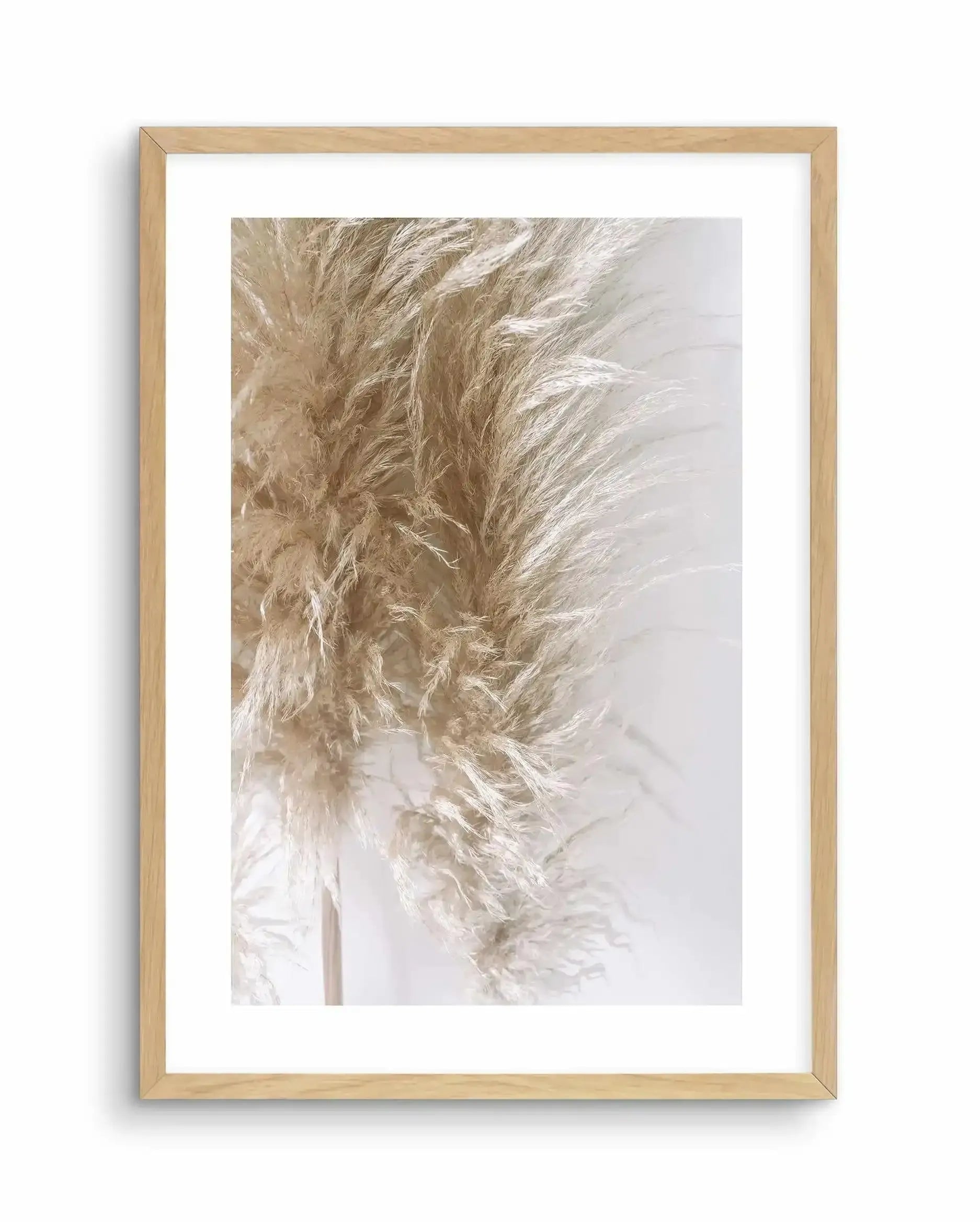 Pampas on Grey III Art Print-PRINT-Olive et Oriel-Olive et Oriel-A4 | 8.3" x 11.7" | 21 x 29.7cm-Oak-With White Border-Buy-Australian-Art-Prints-Online-with-Olive-et-Oriel-Your-Artwork-Specialists-Austrailia-Decorate-With-Coastal-Photo-Wall-Art-Prints-From-Our-Beach-House-Artwork-Collection-Fine-Poster-and-Framed-Artwork