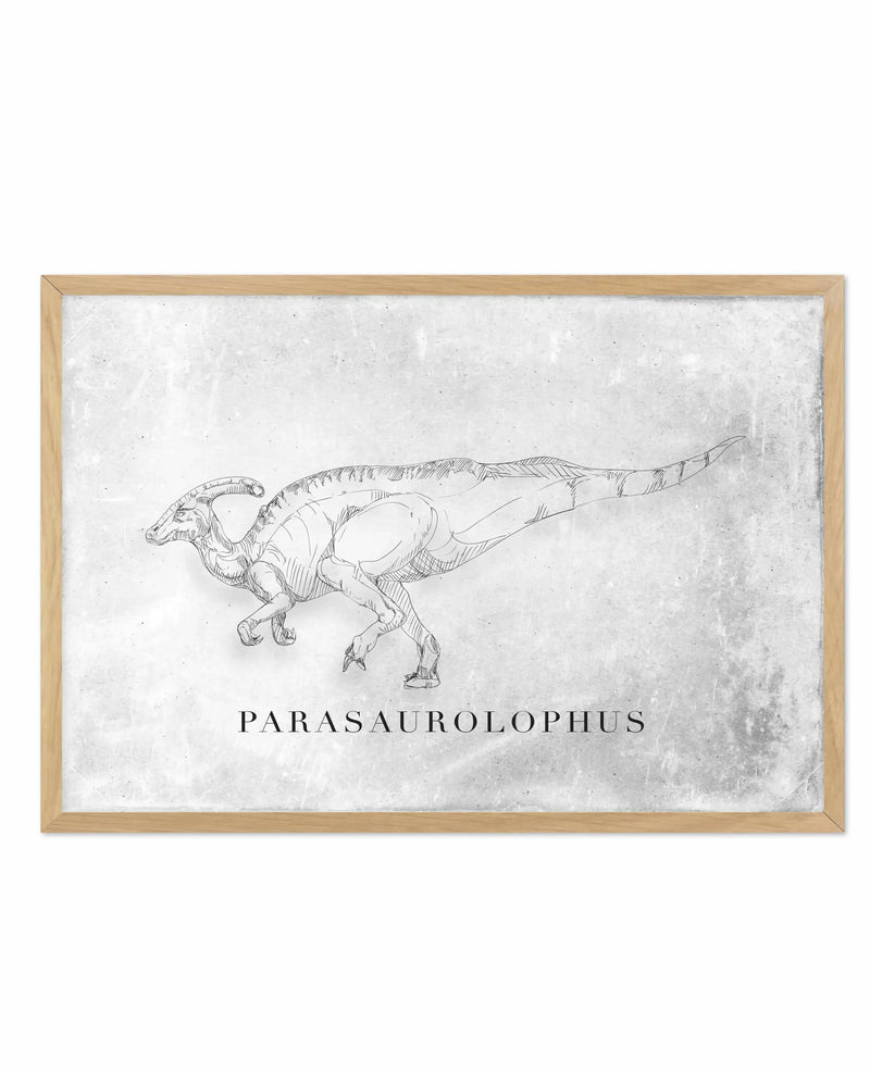 Framed art print featuring a detailed line drawing of a Parasaurolophus dinosaur in black ink on a weathered white background with visible texture and age spots. The dinosaur is shown in profile facing left, displaying its distinctive curved crest, bipedal stance, and elongated tail. The word "PARASAUROLOPHUS" appears centered below the illustration in serif typeface. The artwork is enclosed in a natural wood frame with a light tan finish.