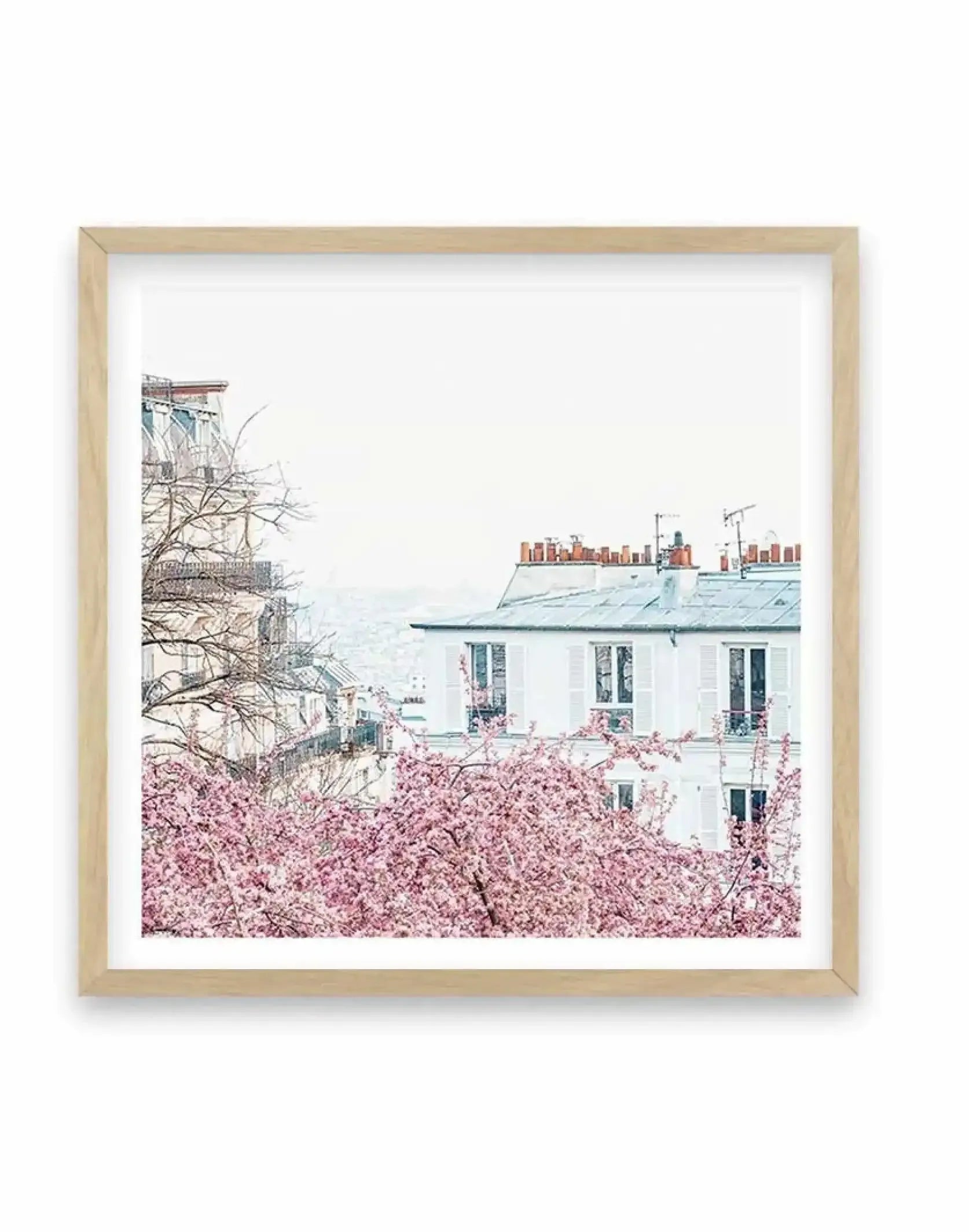Parisian Blooms I | SQ Art Print-PRINT-Olive et Oriel-Olive et Oriel-70x70 cm | 27.5" x 27.5"-Oak-With White Border-Buy-Australian-Art-Prints-Online-with-Olive-et-Oriel-Your-Artwork-Specialists-Austrailia-Decorate-With-Coastal-Photo-Wall-Art-Prints-From-Our-Beach-House-Artwork-Collection-Fine-Poster-and-Framed-Artwork