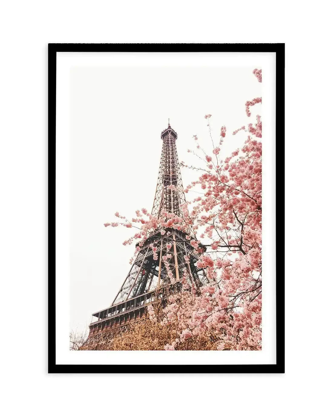 Parisian Blooms II Art Print-PRINT-Olive et Oriel-Olive et Oriel-A5 | 5.8" x 8.3" | 14.8 x 21cm-Black-With White Border-Buy-Australian-Art-Prints-Online-with-Olive-et-Oriel-Your-Artwork-Specialists-Austrailia-Decorate-With-Coastal-Photo-Wall-Art-Prints-From-Our-Beach-House-Artwork-Collection-Fine-Poster-and-Framed-Artwork