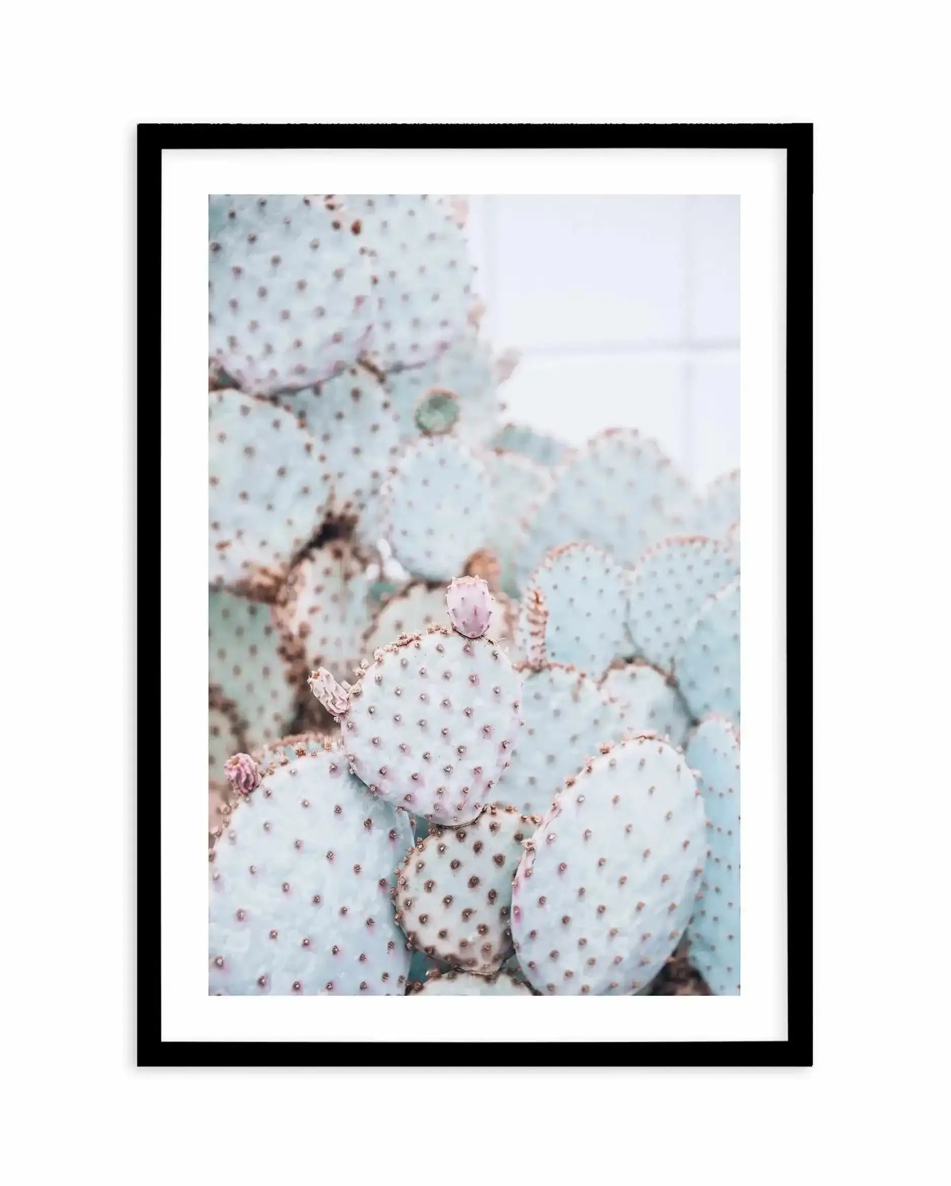 Pastel Cactus II Art Print-PRINT-Olive et Oriel-Olive et Oriel-A4 | 8.3" x 11.7" | 21 x 29.7cm-Black-With White Border-Buy-Australian-Art-Prints-Online-with-Olive-et-Oriel-Your-Artwork-Specialists-Austrailia-Decorate-With-Coastal-Photo-Wall-Art-Prints-From-Our-Beach-House-Artwork-Collection-Fine-Poster-and-Framed-Artwork