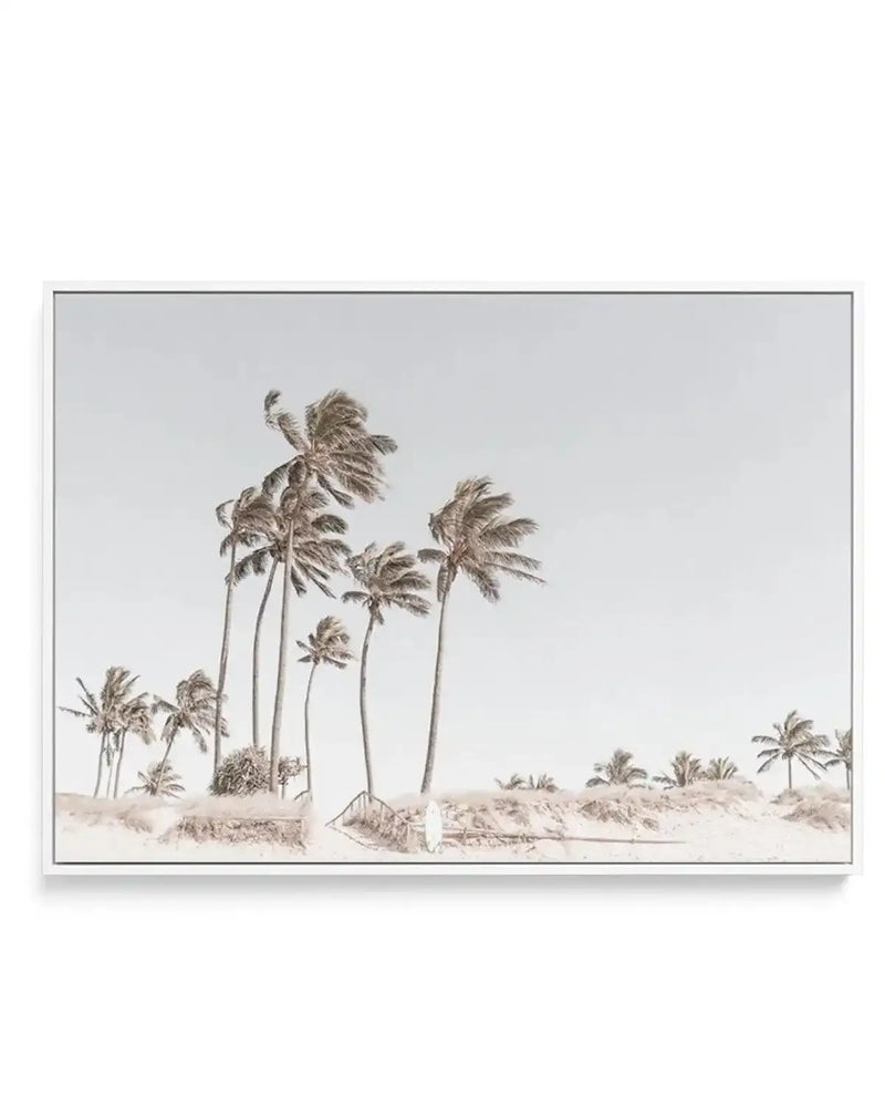 Framed canvas art print titled "Path to the Sea, Gold Coast" featuring a sepia-toned landscape photograph of tall palm trees bending in wind on sandy dunes. Multiple palm trees of varying heights are scattered across the composition against an overcast sky, with sandy terrain and distant palms visible on the horizon. The artwork has a vintage, muted color palette in warm beige and tan tones. The canvas is mounted in a slim gray frame with a white border, displayed as a horizontal landscape orientation.