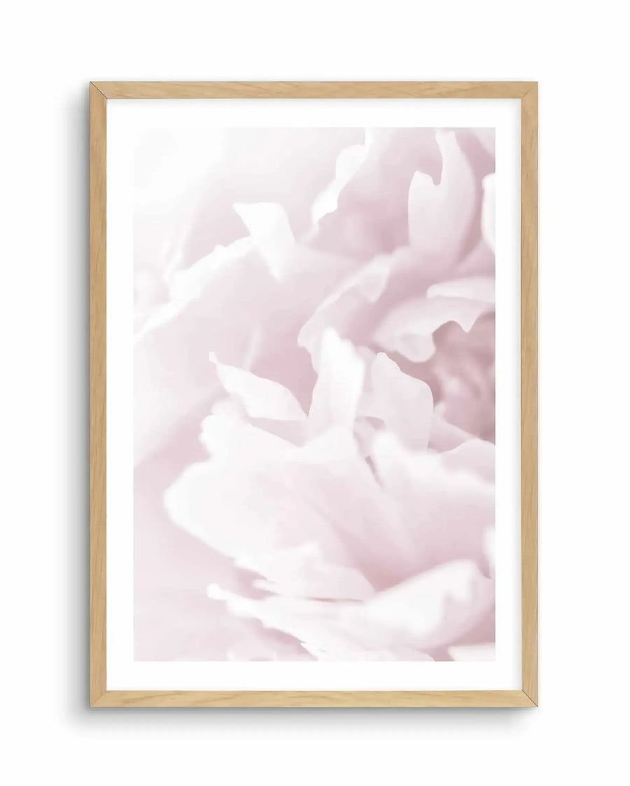 Soft-focus close-up photograph of pale pink peony petals with white highlights, creating a delicate, layered composition. The image is displayed in a natural wood frame with a white border, mounted against a white background.