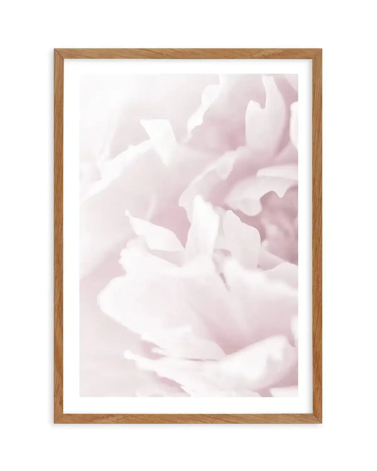 Peony In Bloom I Art Print-PRINT-Olive et Oriel-Olive et Oriel-50x70 cm | 19.6" x 27.5"-Walnut-With White Border-Buy-Australian-Art-Prints-Online-with-Olive-et-Oriel-Your-Artwork-Specialists-Austrailia-Decorate-With-Coastal-Photo-Wall-Art-Prints-From-Our-Beach-House-Artwork-Collection-Fine-Poster-and-Framed-Artwork