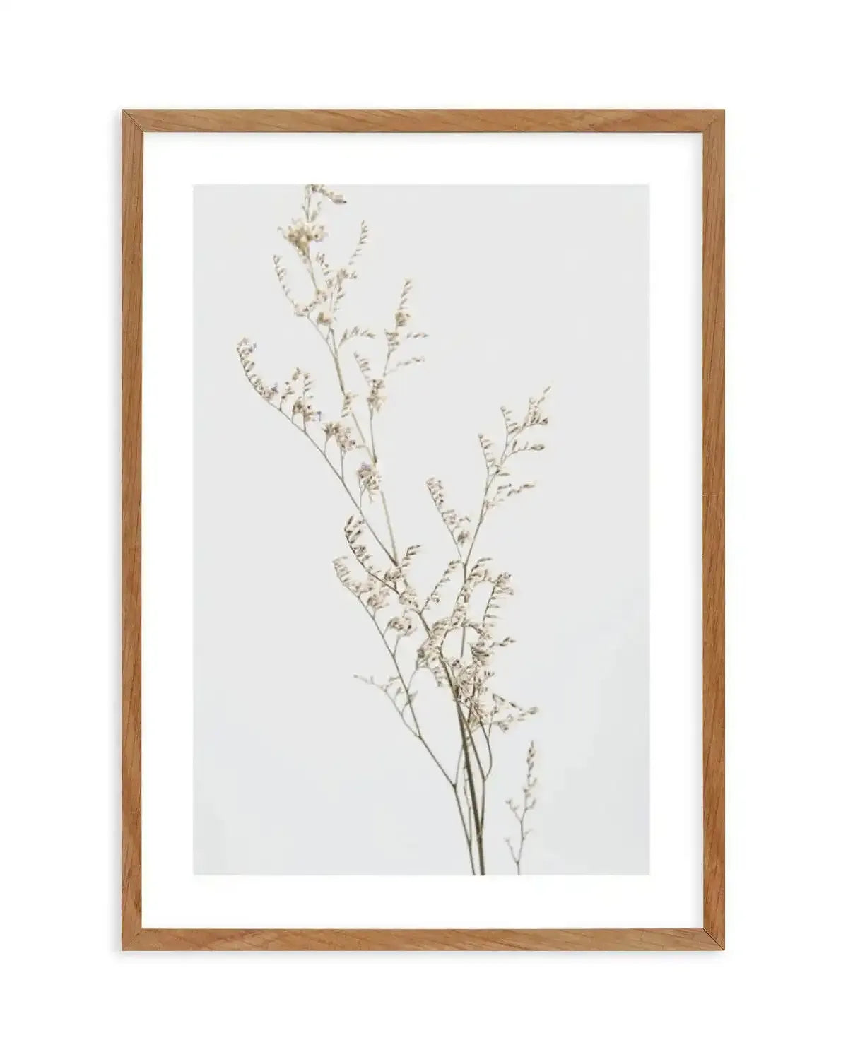 Petite Fleur Art Print-PRINT-Olive et Oriel-Olive et Oriel-50x70 cm | 19.6" x 27.5"-Walnut-With White Border-Buy-Australian-Art-Prints-Online-with-Olive-et-Oriel-Your-Artwork-Specialists-Austrailia-Decorate-With-Coastal-Photo-Wall-Art-Prints-From-Our-Beach-House-Artwork-Collection-Fine-Poster-and-Framed-Artwork