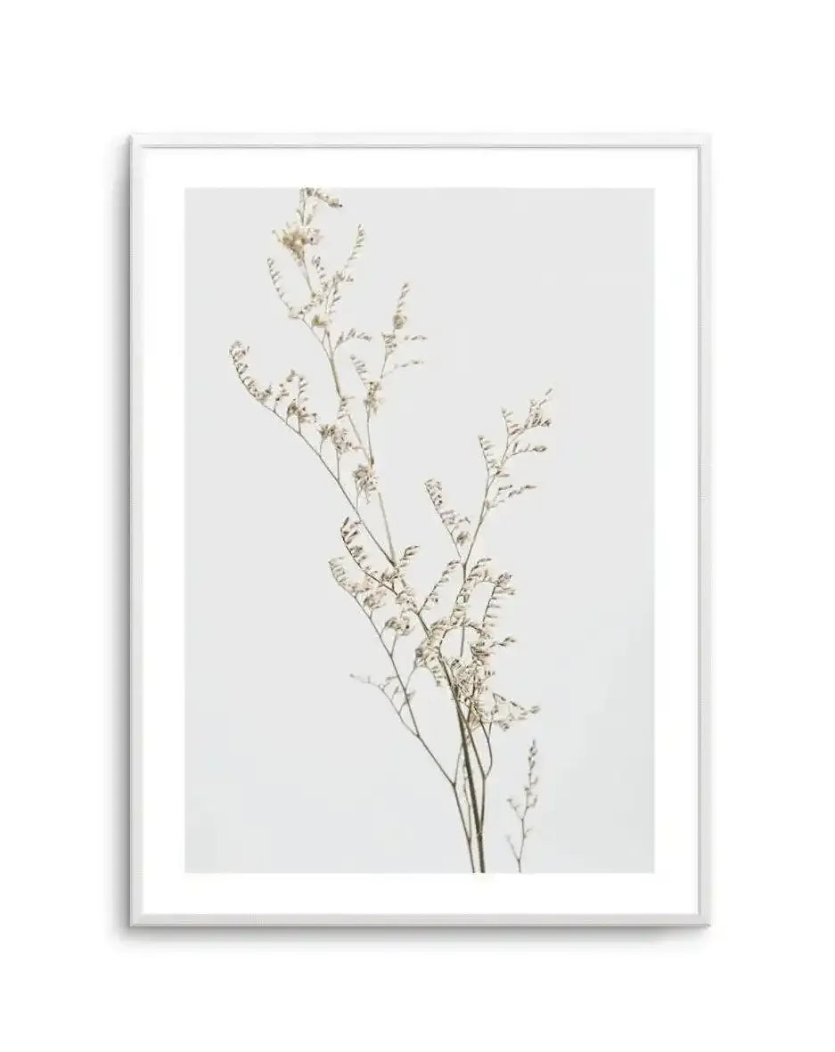 Petite Fleur Art Print-PRINT-Olive et Oriel-Olive et Oriel-A5 | 5.8" x 8.3" | 14.8 x 21cm-Unframed Art Print-With White Border-Buy-Australian-Art-Prints-Online-with-Olive-et-Oriel-Your-Artwork-Specialists-Austrailia-Decorate-With-Coastal-Photo-Wall-Art-Prints-From-Our-Beach-House-Artwork-Collection-Fine-Poster-and-Framed-Artwork