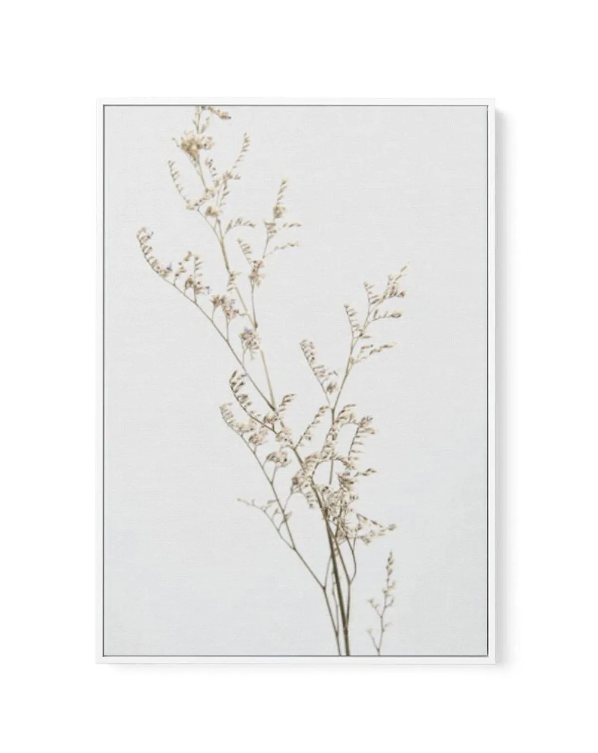 Petite Fleur | Framed Canvas-CANVAS-You can shop wall art online with Olive et Oriel for everything from abstract art to fun kids wall art. Our beautiful modern art prints and canvas art are available from large canvas prints to wall art paintings and our proudly Australian artwork collection offers only the highest quality framed large wall art and canvas art Australia - You can buy fashion photography prints or Hampton print posters and paintings on canvas from Olive et Oriel and have them del