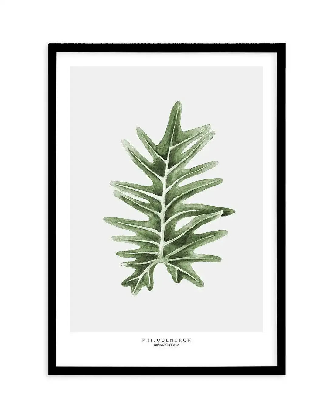 black and white philodendron prints Botanical Wall Art Print