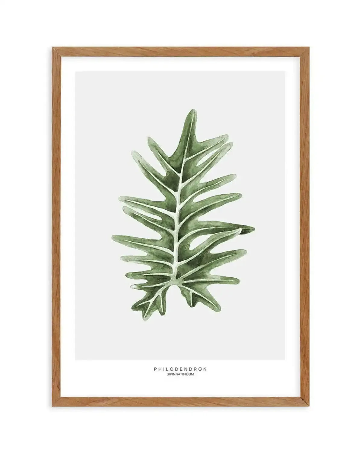 philodendron border Botanical Wall Art Print