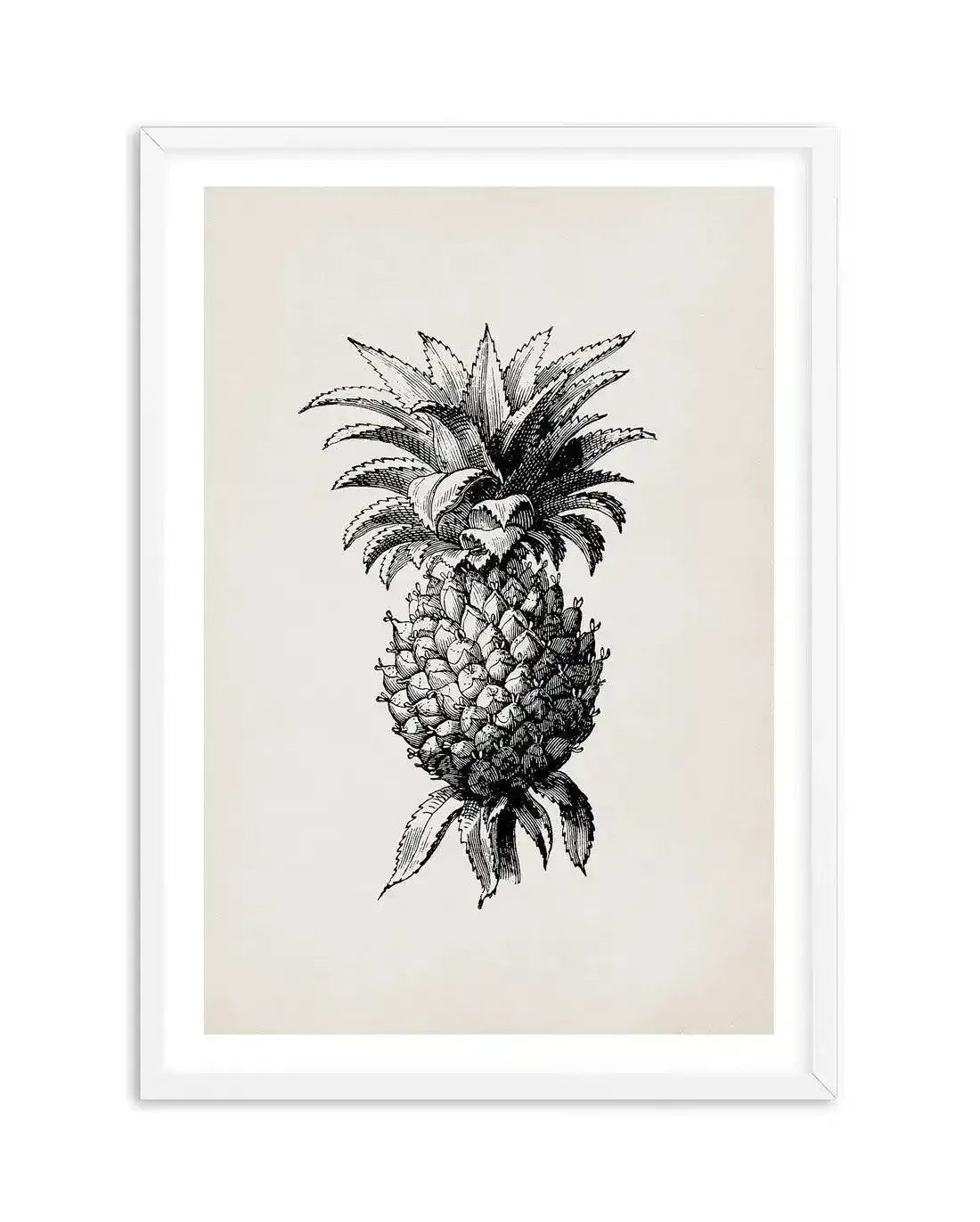Pineapple Illustration Art Print-PRINT-Olive et Oriel-Olive et Oriel-A5 | 5.8" x 8.3" | 14.8 x 21cm-White-With White Border-Buy-Australian-Art-Prints-Online-with-Olive-et-Oriel-Your-Artwork-Specialists-Austrailia-Decorate-With-Coastal-Photo-Wall-Art-Prints-From-Our-Beach-House-Artwork-Collection-Fine-Poster-and-Framed-Artwork