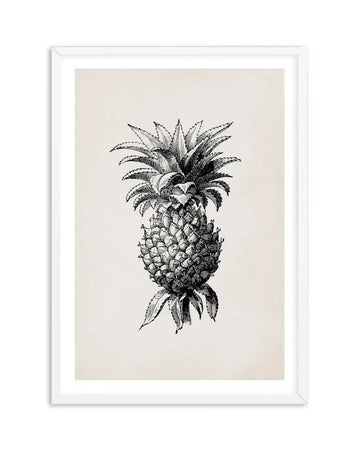 Art print featuring a detailed black and white illustration of a pineapple with its spiky crown and textured fruit, displayed in a white frame with a white border. The illustration has a vintage, scientific drawing quality against a cream background.