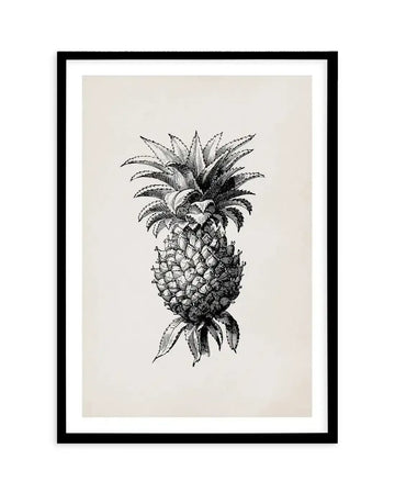 Black and white botanical illustration art print featuring a detailed pineapple with spiky crown and textured fruit, displayed in a black frame with white border.