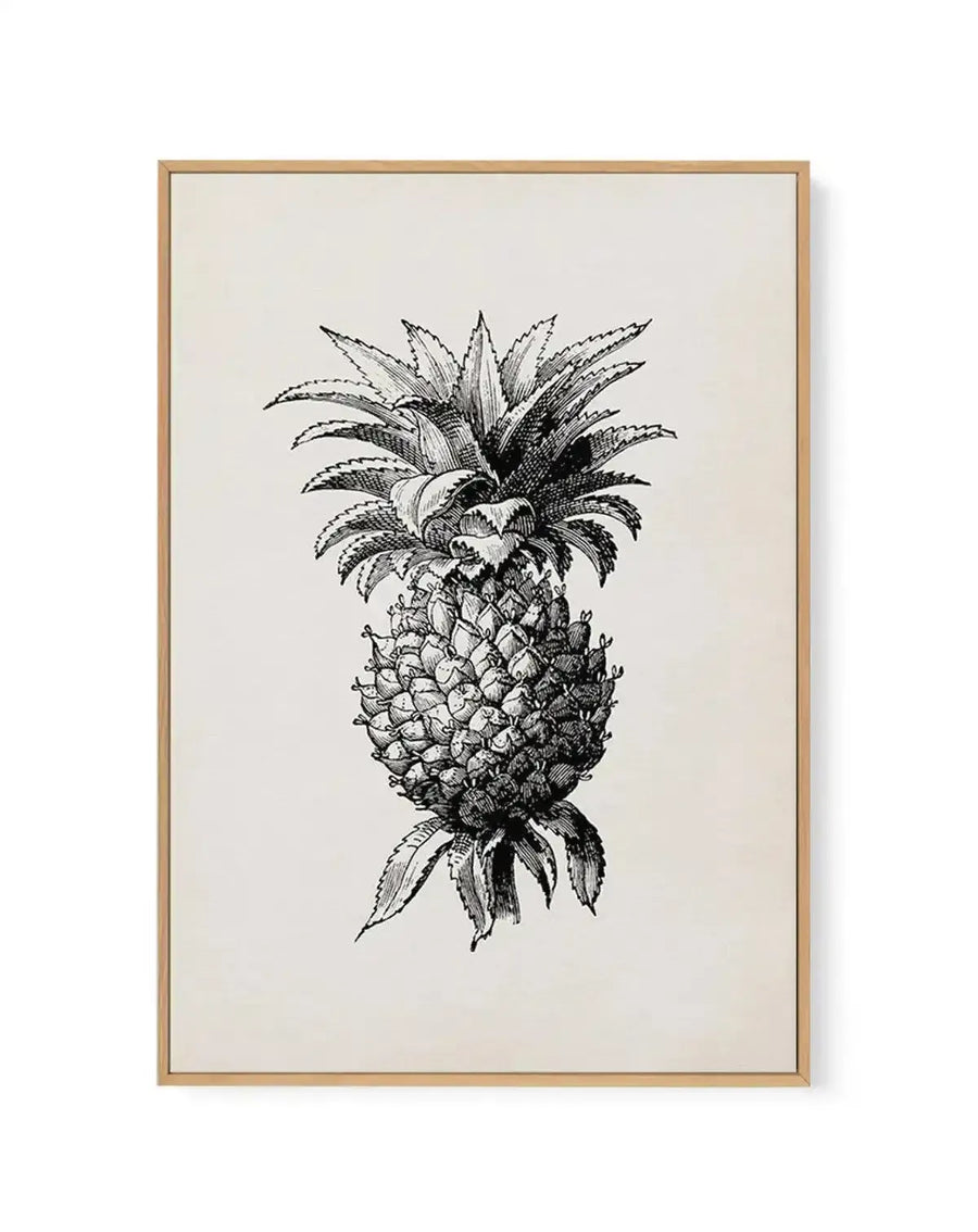 Black and white pen and ink illustration of a pineapple centered on a cream-colored canvas. The botanical drawing features detailed cross-hatching and line work showing the fruit's textured body with geometric diamond-patterned segments, a leafy crown at the top with pointed spikes, and decorative leaf elements at the base. The artwork is framed in natural wood with a white border, displayed against a light background.