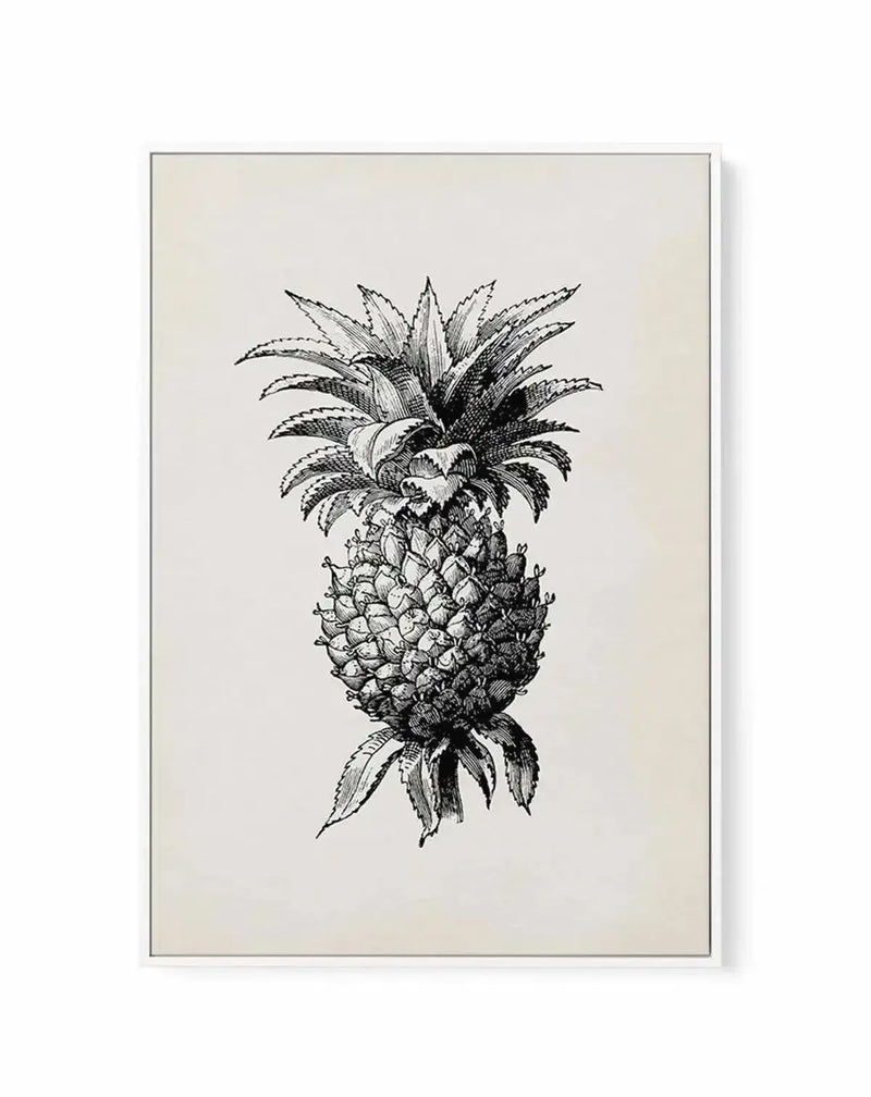 Black and white botanical illustration of a pineapple on cream-colored canvas, displayed in a thin gray frame. The detailed engraving-style drawing shows the fruit's textured body with dimensional cross-hatching, spiky crown leaves at the top, and decorative leafy base. The artwork has a classical, vintage botanical print aesthetic with fine linework against the pale background, with white border visible within the frame.