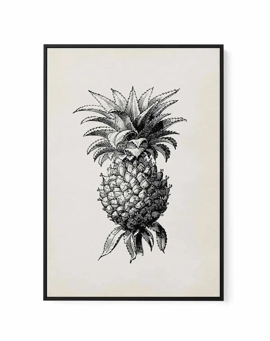 Black and white pen and ink illustration of a pineapple with detailed cross-hatching, displayed in a black wooden frame on a cream-colored canvas with white border. The artwork shows the fruit's textured body with individual scale details and spiky crown leaves rendered with fine line work in a classical engraving style.