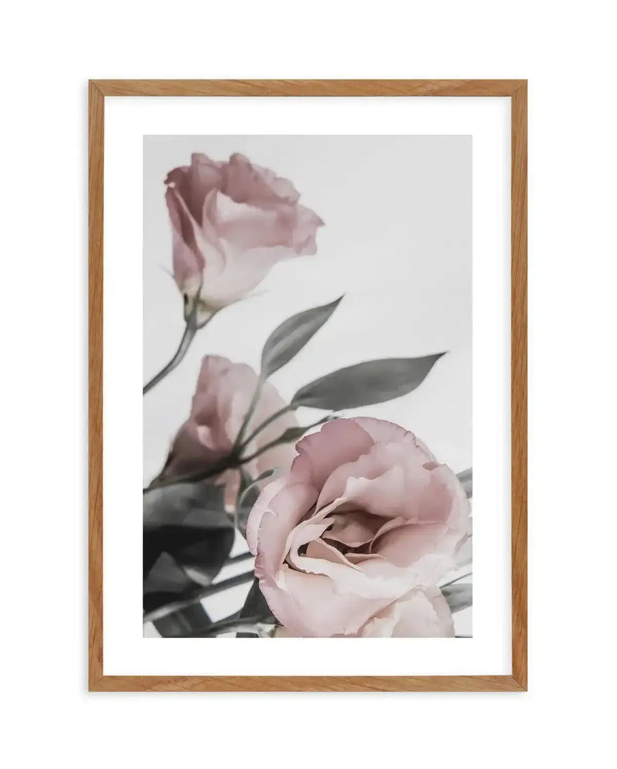 Framed art print of three dusty rose and blush pink lisianthus flowers with layered, ruffled petals against a soft gray background. Green-gray stems and elongated leaves extend through the composition. The photograph has a soft, slightly diffused quality. The print is mounted with a white border in a natural wood frame.