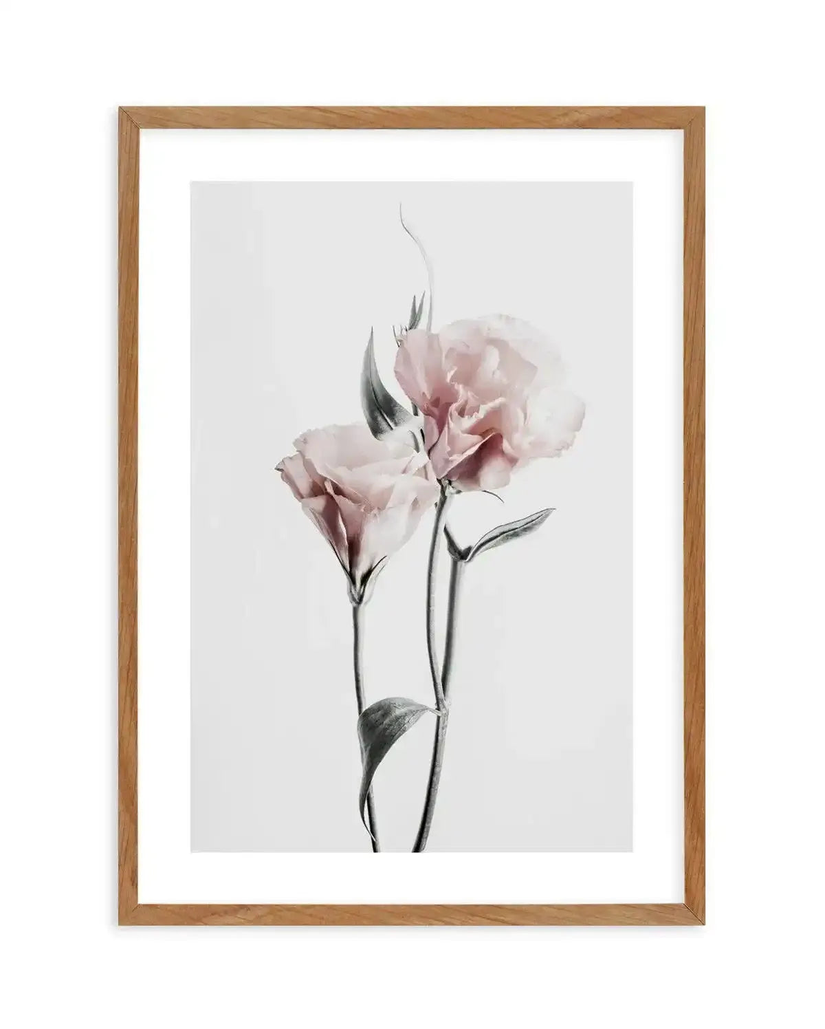 Pink Lisianthus III Art Print-PRINT-Olive et Oriel-Olive et Oriel-50x70 cm | 19.6" x 27.5"-Walnut-With White Border-Buy-Australian-Art-Prints-Online-with-Olive-et-Oriel-Your-Artwork-Specialists-Austrailia-Decorate-With-Coastal-Photo-Wall-Art-Prints-From-Our-Beach-House-Artwork-Collection-Fine-Poster-and-Framed-Artwork