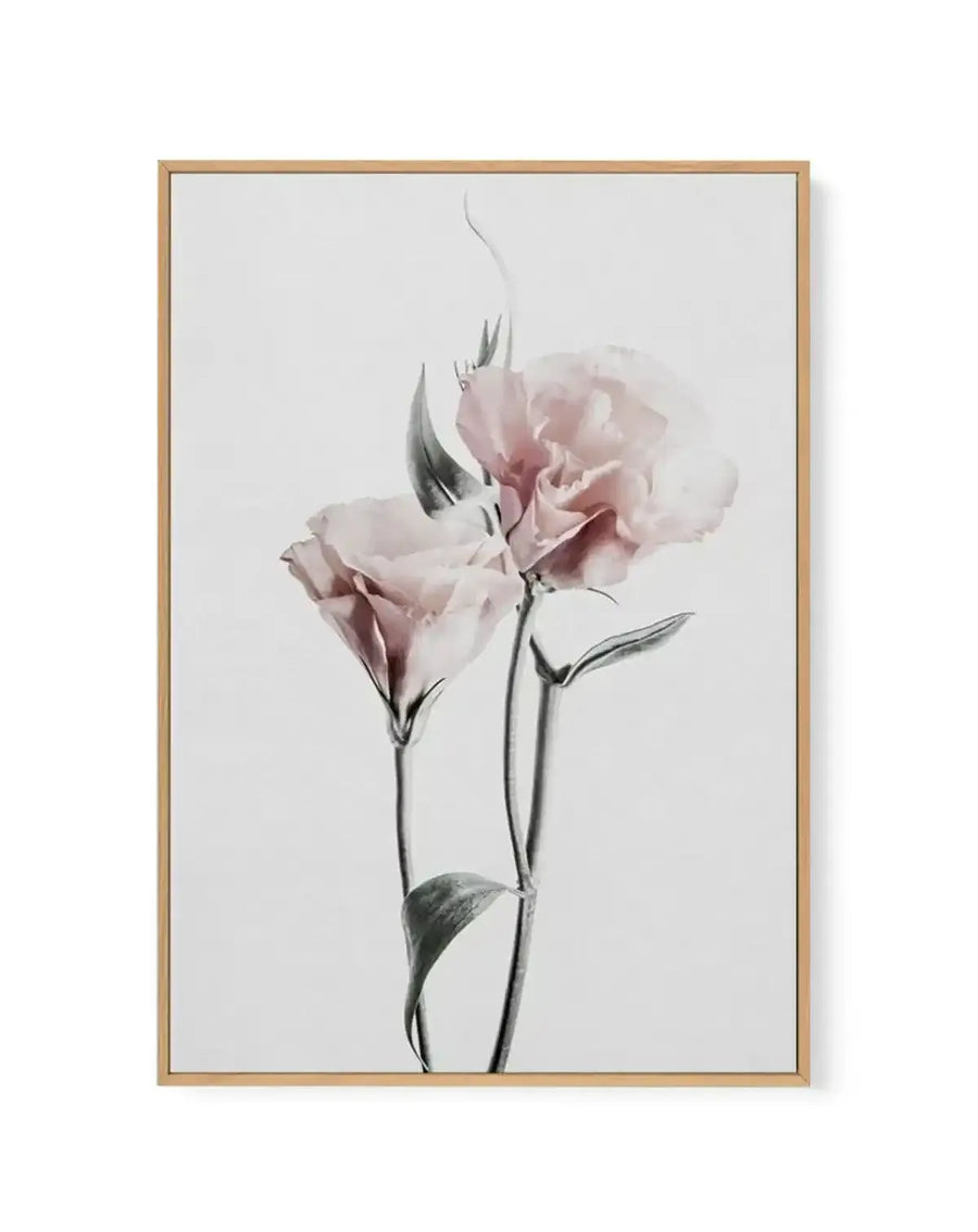 Framed canvas art print featuring two pale pink carnations with delicate blush and mauve tones against a soft white background. Thin green stems and leaves rendered in muted watercolor style create an elegant, minimalist composition. Natural wood frame with white border surrounding the artwork.