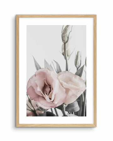 Framed art print of two delicate pink lisianthus flowers with layered, ruffled petals in soft blush and pale rose tones. Surrounding the blooms are gray-green stems and unopened buds in muted sage tones against a light gray background. The photograph-style artwork has a soft, botanical quality with gentle color gradients. The print is mounted with a white border in a natural wood frame.
