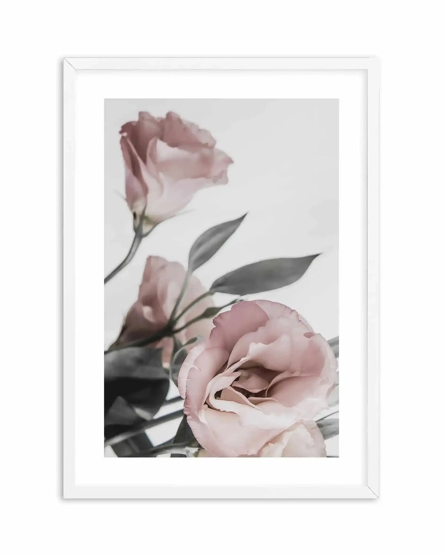 Framed art print featuring two blush pink lisianthus flowers with layered, ruffled petals in soft focus against a pale gray background. Gray-green leaves and stems are visible throughout the vertical composition. The photograph has a delicate, botanical quality with subtle color gradations. White wooden frame with white border around the image.