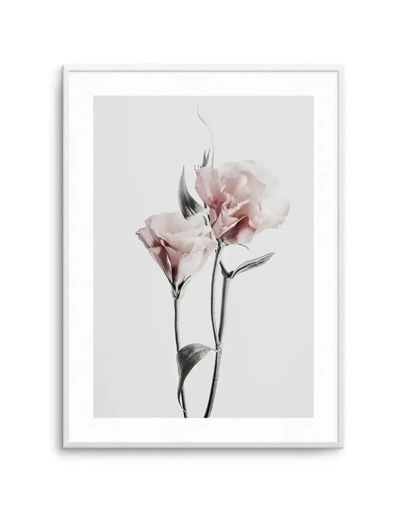 Framed art print of two pale pink carnations with delicate petals against a soft gray background. The flowers have thin, gray-green stems and leaves rendered in a watercolor style with soft, diffused edges. The artwork is displayed in a white frame with a white border, creating a minimalist, botanical illustration with a calm, muted aesthetic.