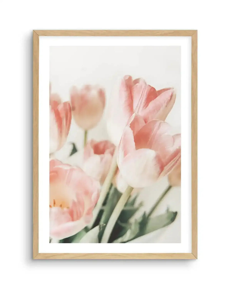 Watercolour art print featuring a close-up of a bouquet of soft pink tulips with delicate white edges and visible brushstroke texture, displayed in a natural oak frame with white border.