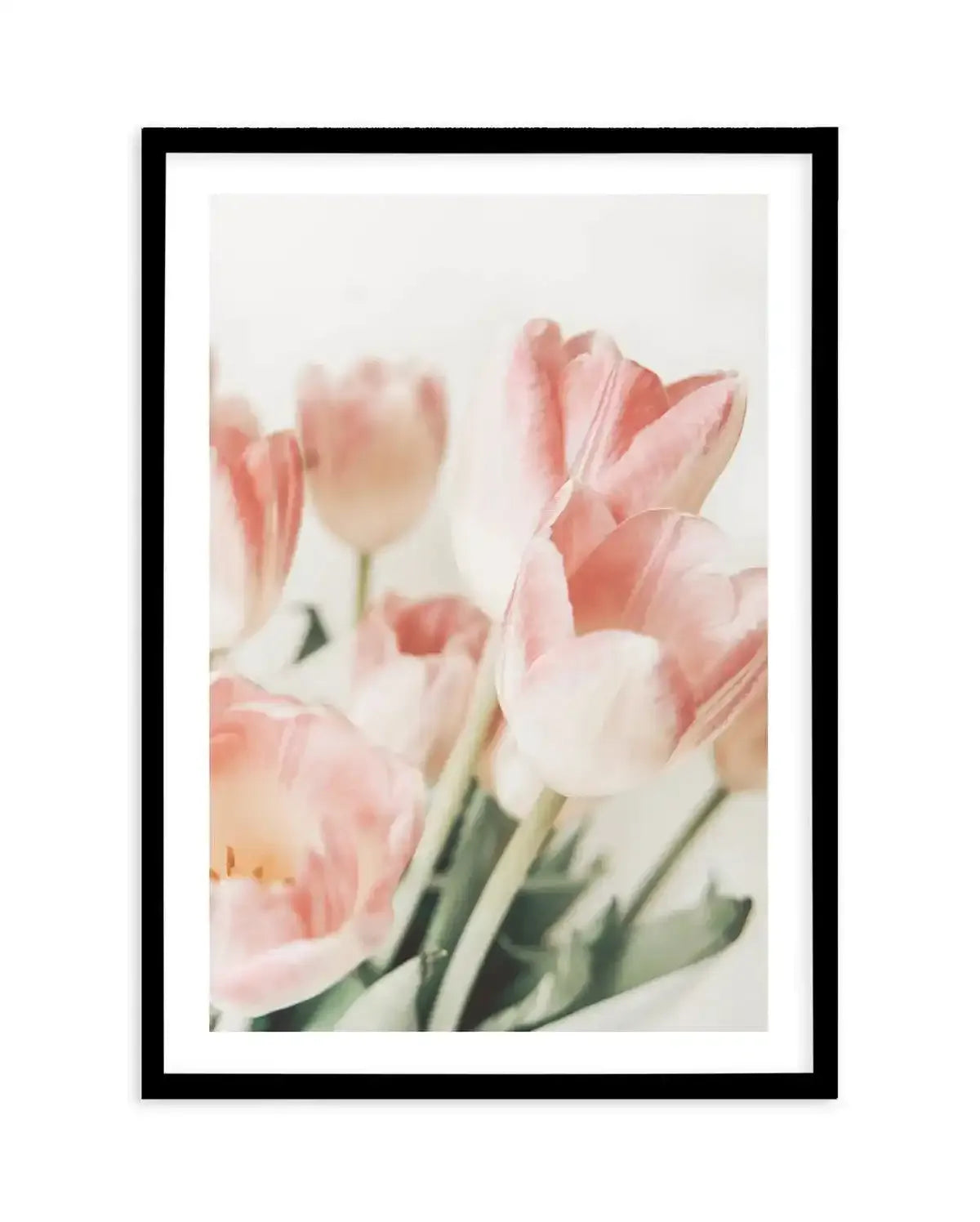 Pink Tulips II Art Print-PRINT-Olive et Oriel-Olive et Oriel-A5 | 5.8" x 8.3" | 14.8 x 21cm-Black-With White Border-Buy-Australian-Art-Prints-Online-with-Olive-et-Oriel-Your-Artwork-Specialists-Austrailia-Decorate-With-Coastal-Photo-Wall-Art-Prints-From-Our-Beach-House-Artwork-Collection-Fine-Poster-and-Framed-Artwork