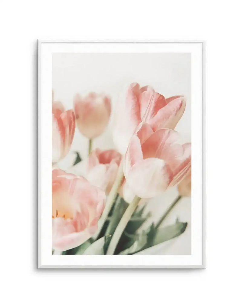 Art print featuring a close-up photograph of a bouquet of soft pink tulips with delicate white edges and green stems, displayed in a white frame with a white border. The tulips are in various stages of bloom, with some petals appearing translucent and others showing subtle striations.