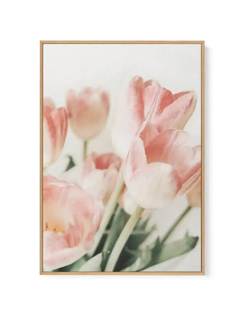 Framed canvas art print featuring a soft-focus photograph of pink and white tulips with blush pink petals and green stems against a light cream background. The composition shows multiple tulip blooms at varying depths, creating a dreamy, gentle aesthetic. Natural wood frame with white border surrounding the artwork.