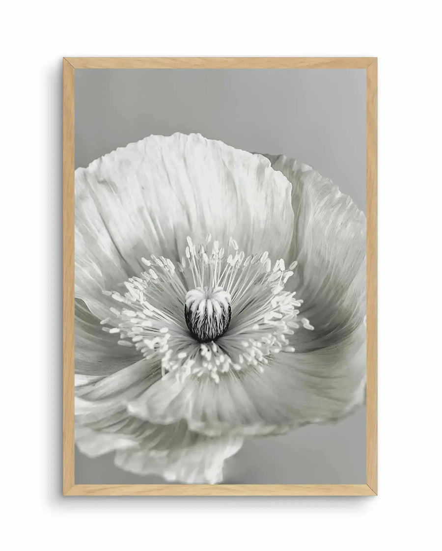 Framed black and white photograph of a close-up poppy flower with delicate, crinkled petals and a prominent seed pod surrounded by numerous stamens, displayed in a natural oak frame with white border.