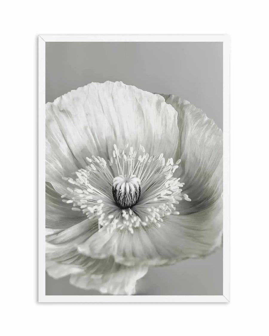 Black and white photographic art print of a single poppy flower in close-up. The delicate petals radiate outward in soft, layered folds with fine texture detail. The flower's center features dark stamens creating dramatic contrast against the pale petals. The background is neutral grey, allowing the flower to command focus. The print is framed in white with a white border, presented against a plain background.