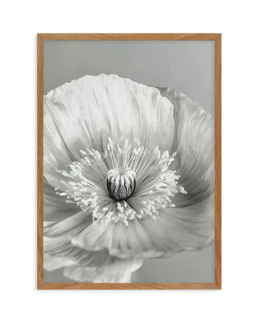 Black and white close-up art print of a poppy flower with delicate, ruffled petals radiating outward from a detailed dark center stamen. The photograph-style artwork captures fine texture and subtle gradations in grayscale tones, creating depth and dimension. Displayed in a natural wood frame with a light gray background.