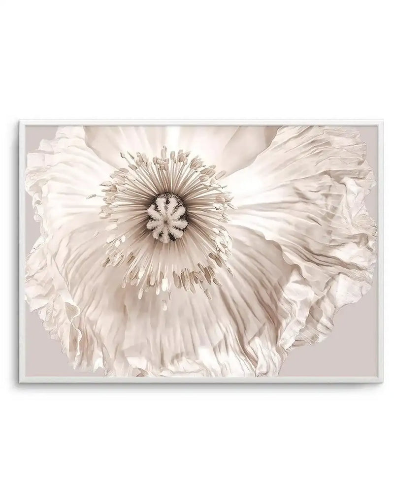 Framed photography art print of a close-up white poppy flower with delicate, ruffled petals and a detailed stamen in shades of cream, beige, and soft brown, set against a pale greige background with a white frame and white border.