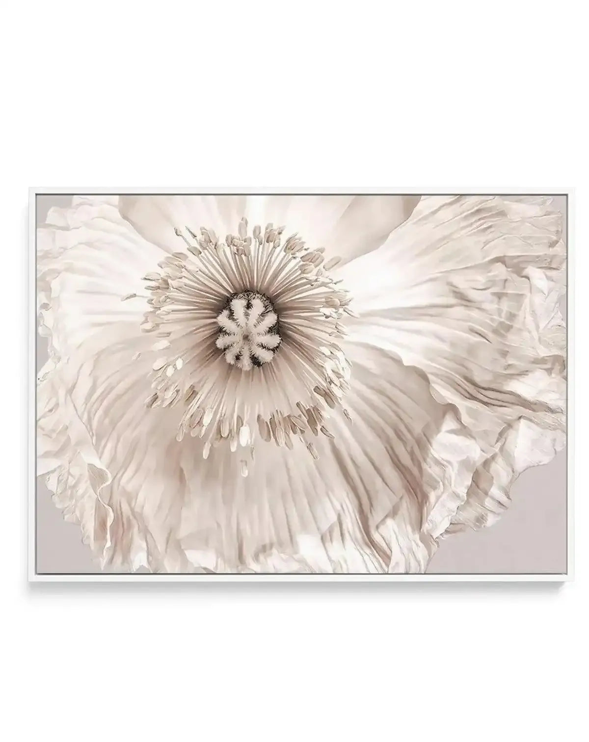 Poppy Lumiere | Framed Canvas-CANVAS-You can shop wall art online with Olive et Oriel for everything from abstract art to fun kids wall art. Our beautiful modern art prints and canvas art are available from large canvas prints to wall art paintings and our proudly Australian artwork collection offers only the highest quality framed large wall art and canvas art Australia - You can buy fashion photography prints or Hampton print posters and paintings on canvas from Olive et Oriel and have them de